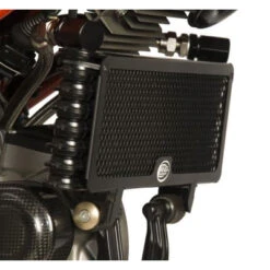 R&G Oil Cooler Guard - Hypermotard 1100 EVO & SP